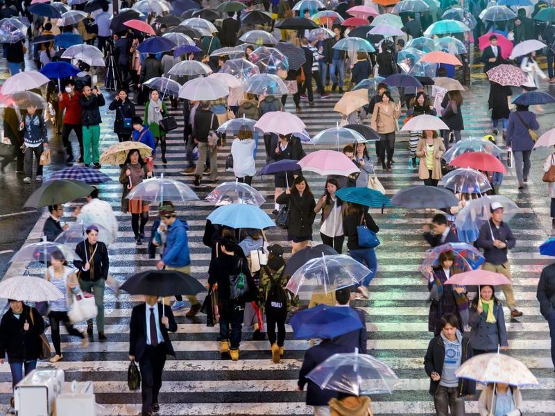 Tỉnh nào nhiều mưa nhất Nhật Bản